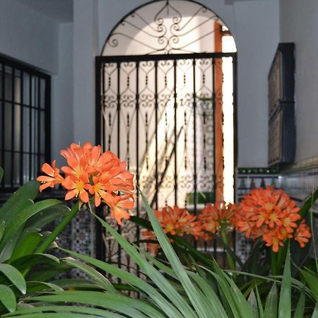 Apartamento Nuevo Sueño del Alcazar Córdoba Exterior foto