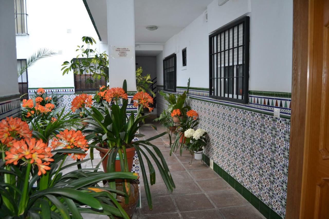 Apartamento Nuevo Sueño del Alcazar Córdoba Exterior foto