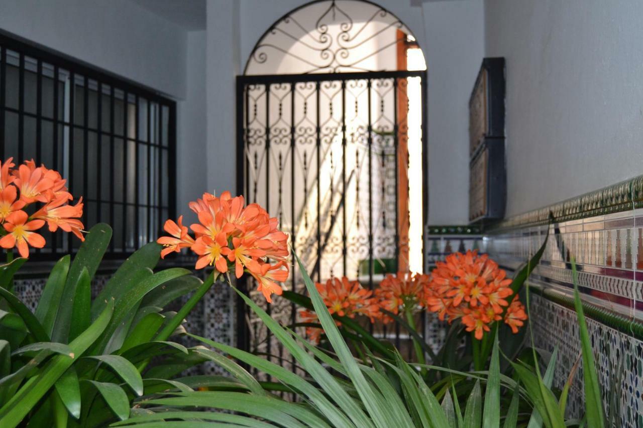 Apartamento Nuevo Sueño del Alcazar Córdoba Exterior foto
