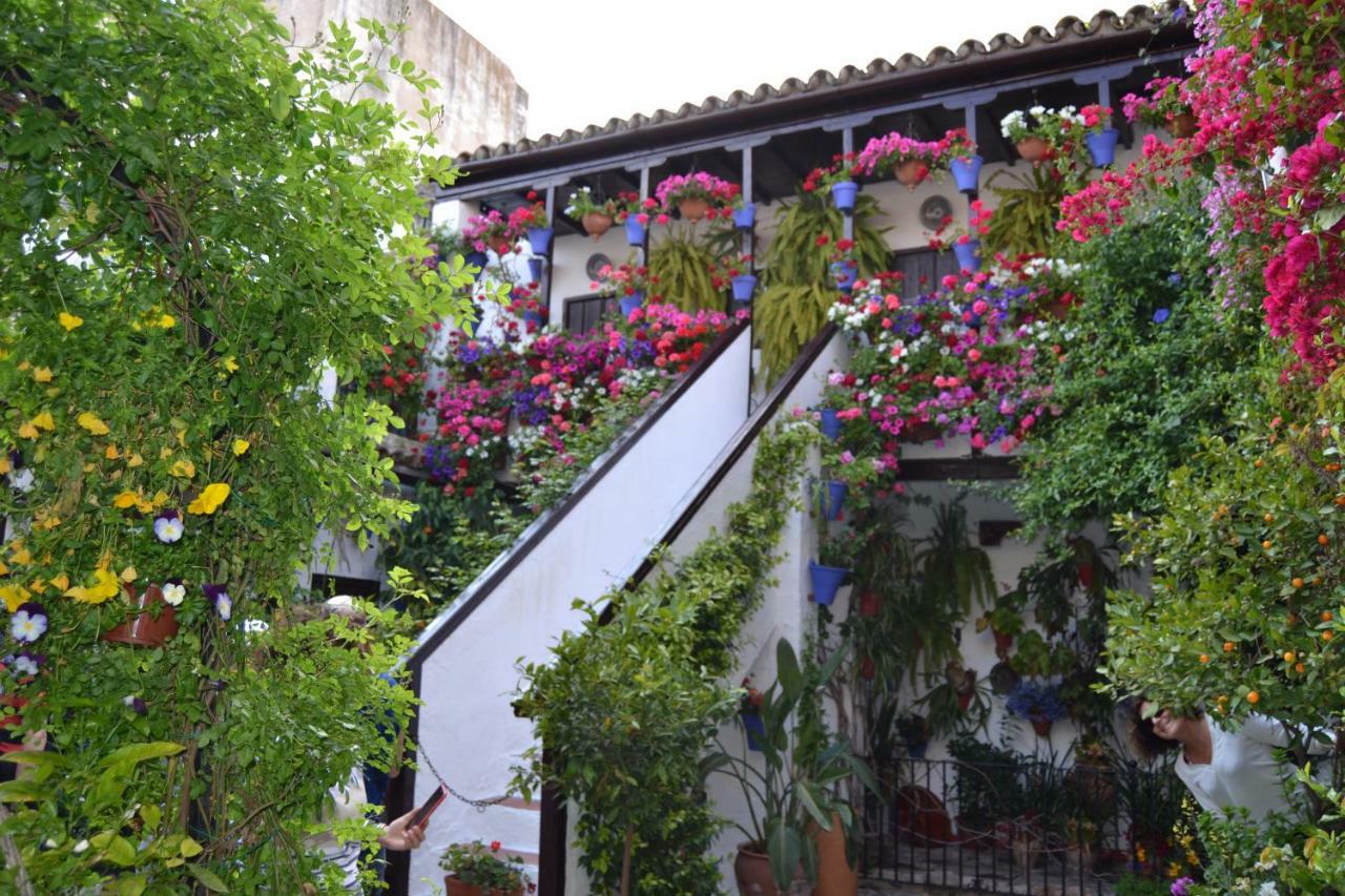 Apartamento Nuevo Sueño del Alcazar Córdoba Exterior foto