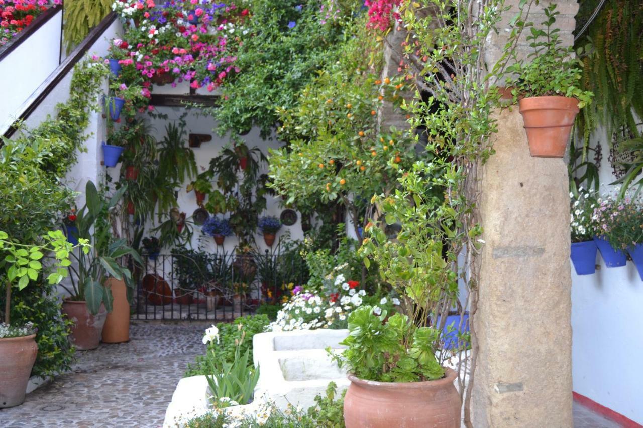 Apartamento Nuevo Sueño del Alcazar Córdoba Exterior foto